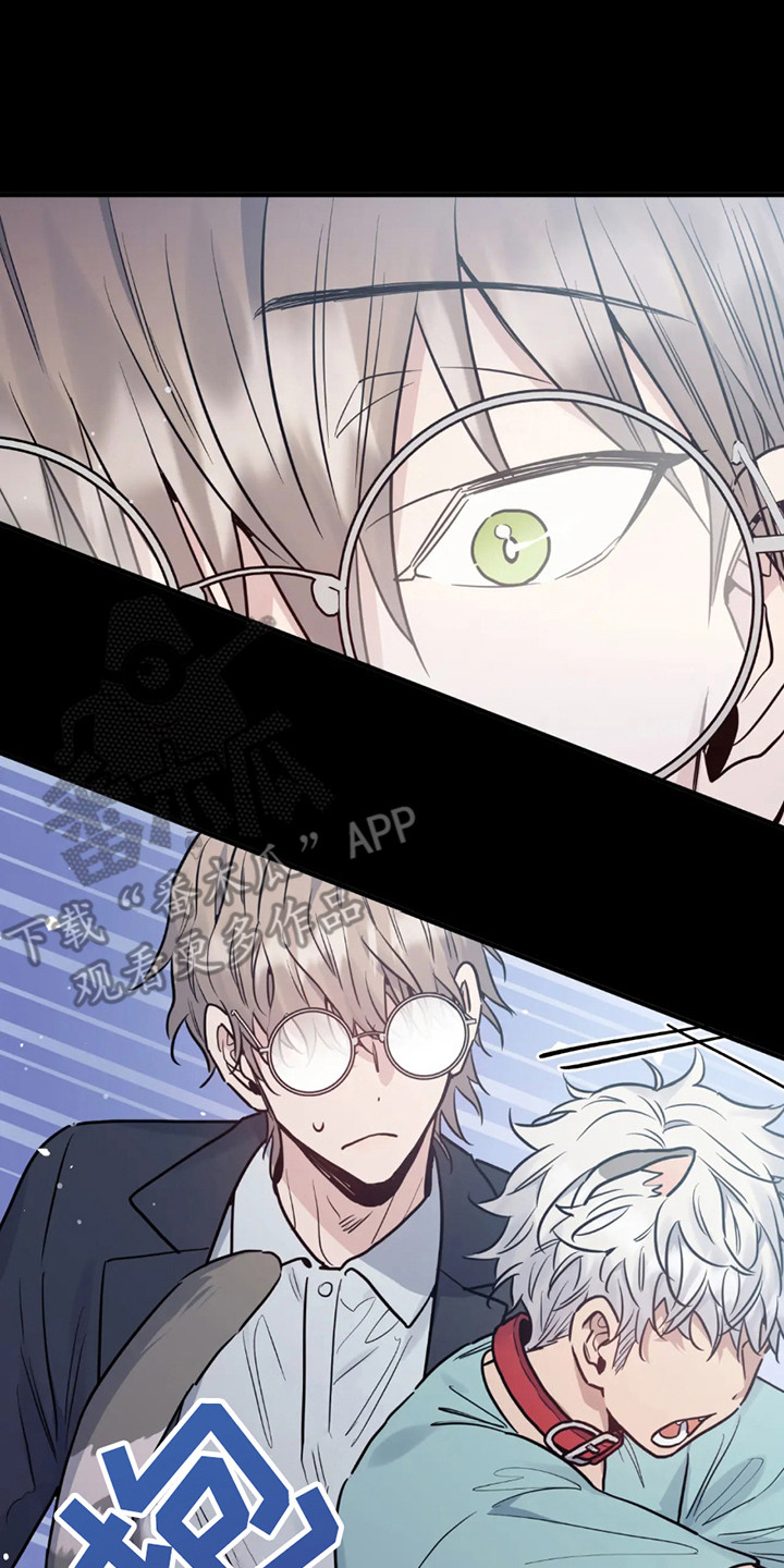 老虎观察日志 - 第1话 - 第14张图