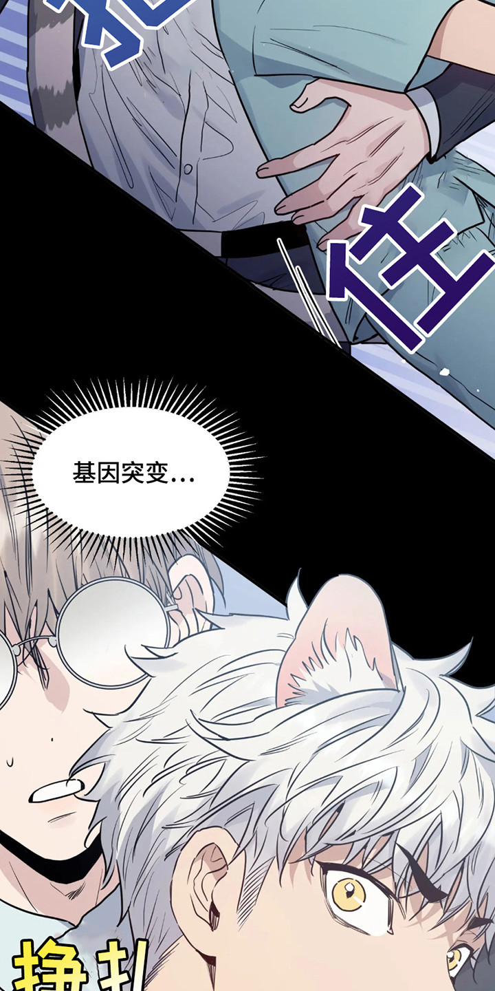 老虎观察日志 - 第1话 - 第15张图