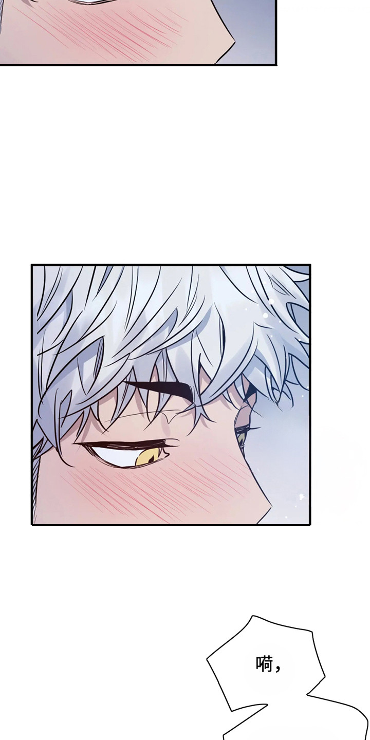 老虎观察日志 - 第1话 - 第4张图