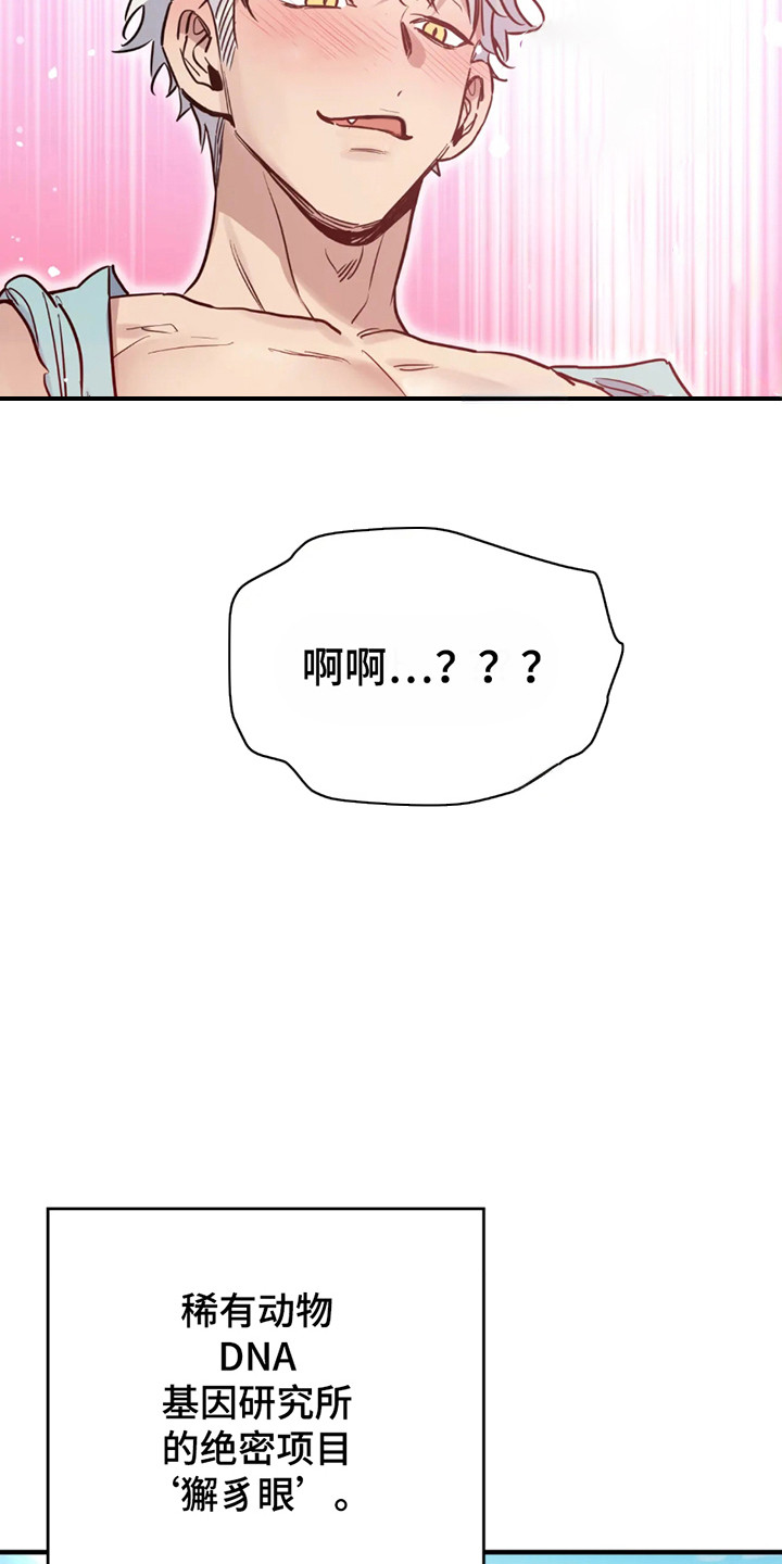 老虎观察日志 - 第1话 - 第6张图