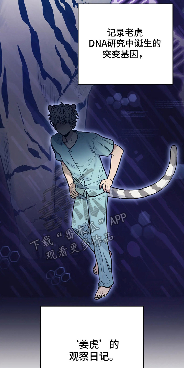 老虎观察日志 - 第1话 - 第8张图