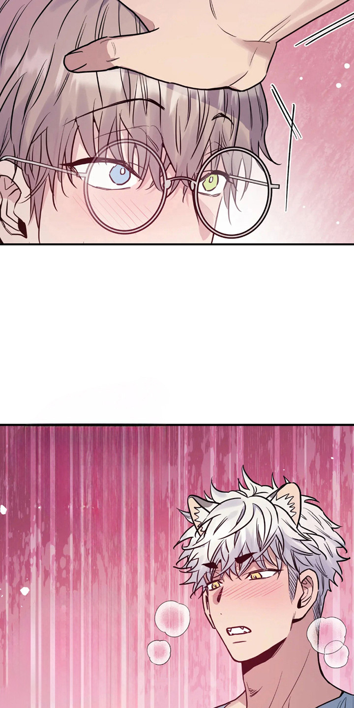 老虎观察日志 - 第4话 - 第15张图