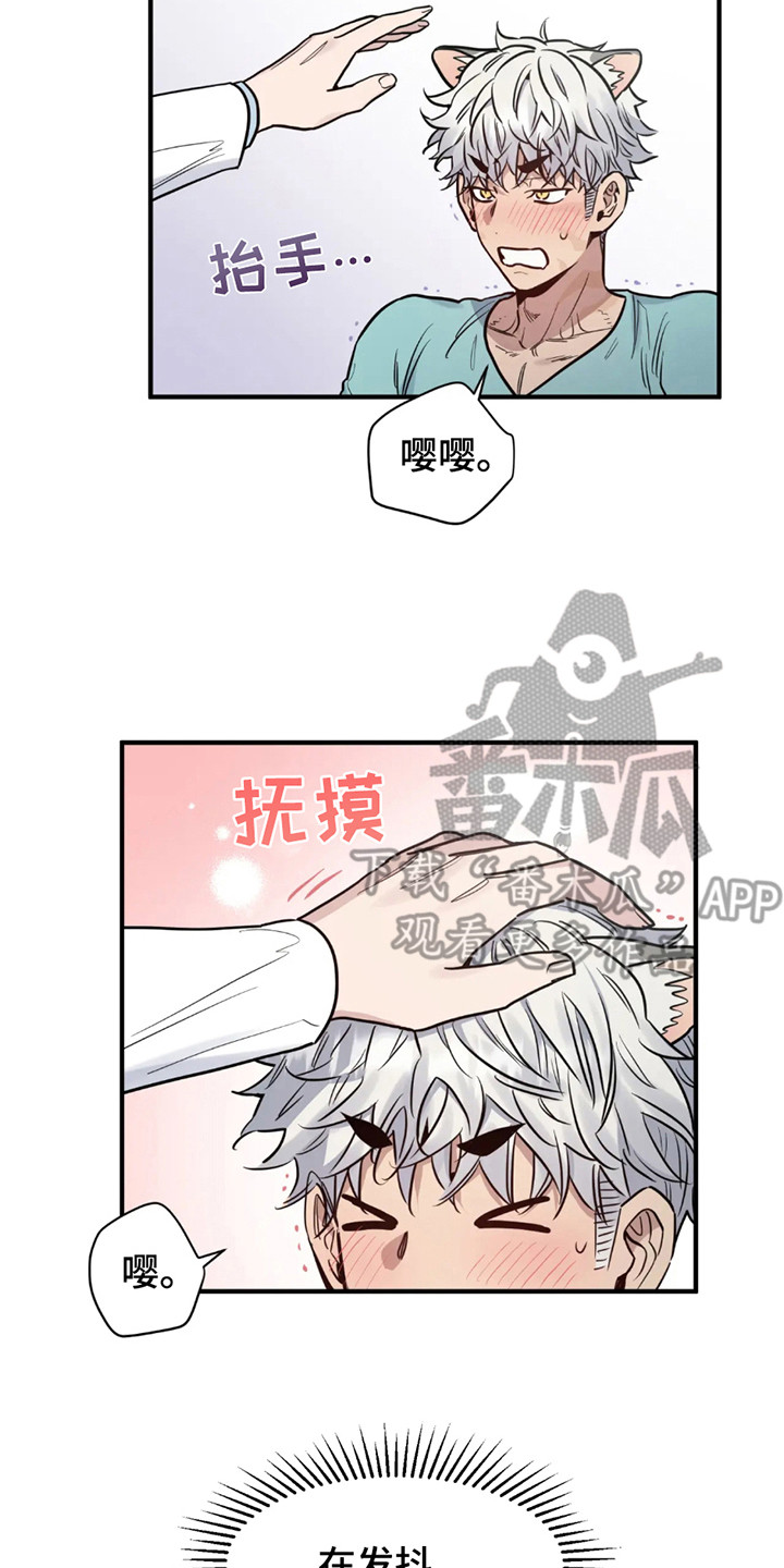 老虎观察日志 - 第4话 - 第2张图