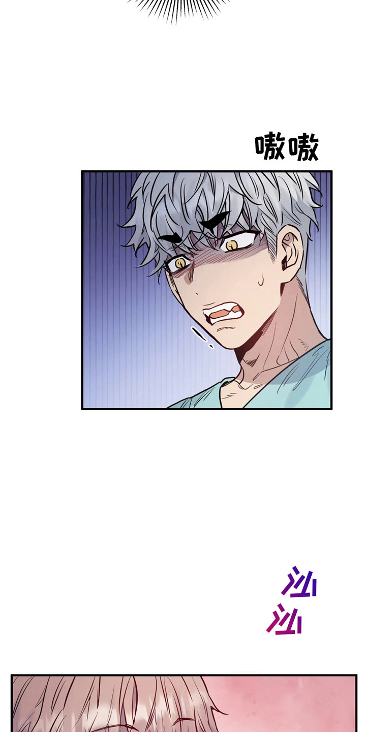 老虎观察日志 - 第4话 - 第4张图