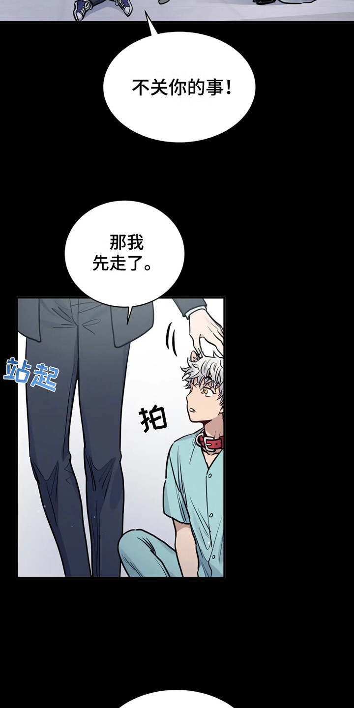 老虎观察日志 - 第2话 - 第10张图