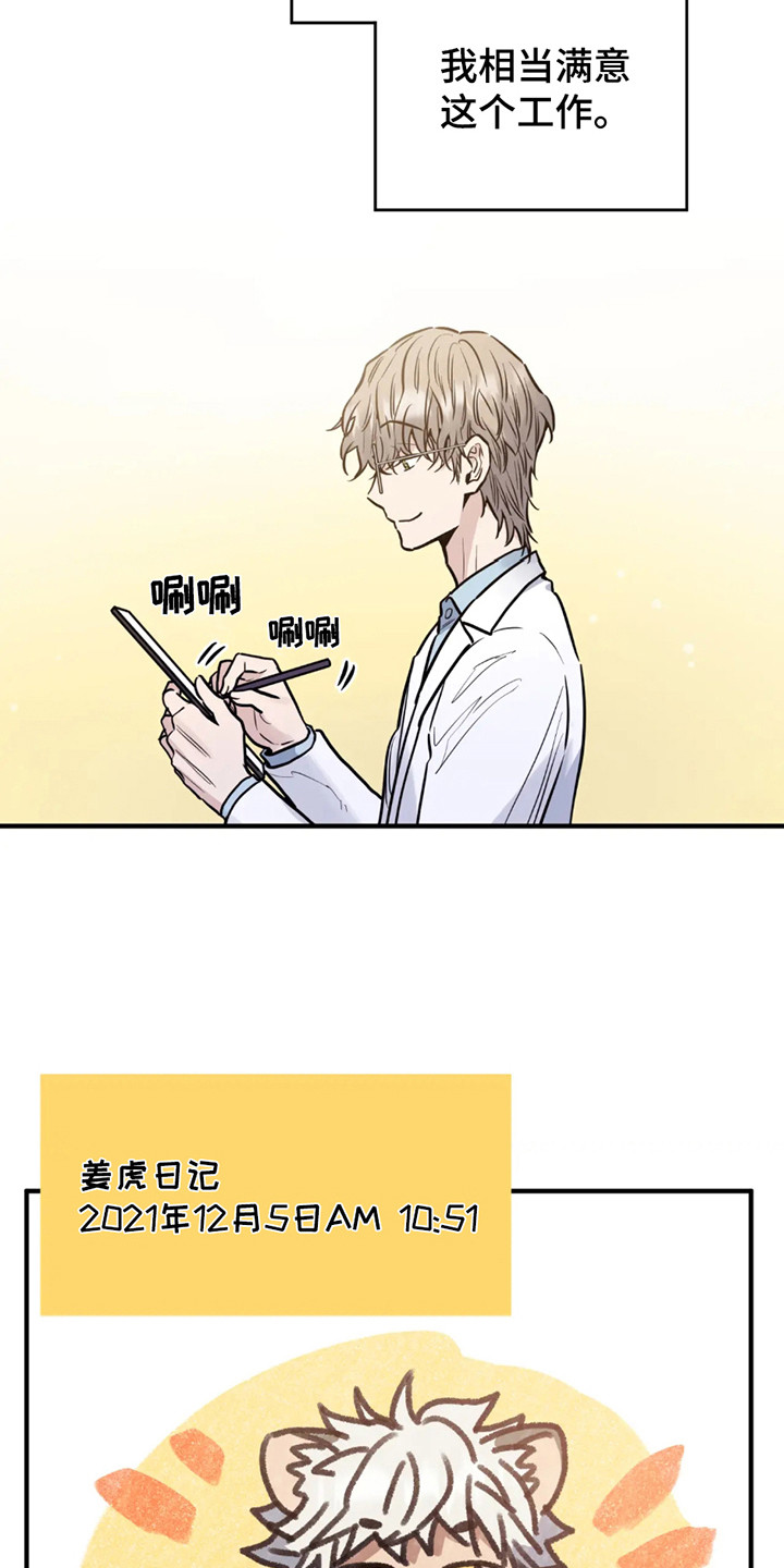 老虎观察日志 - 第2话 - 第15张图