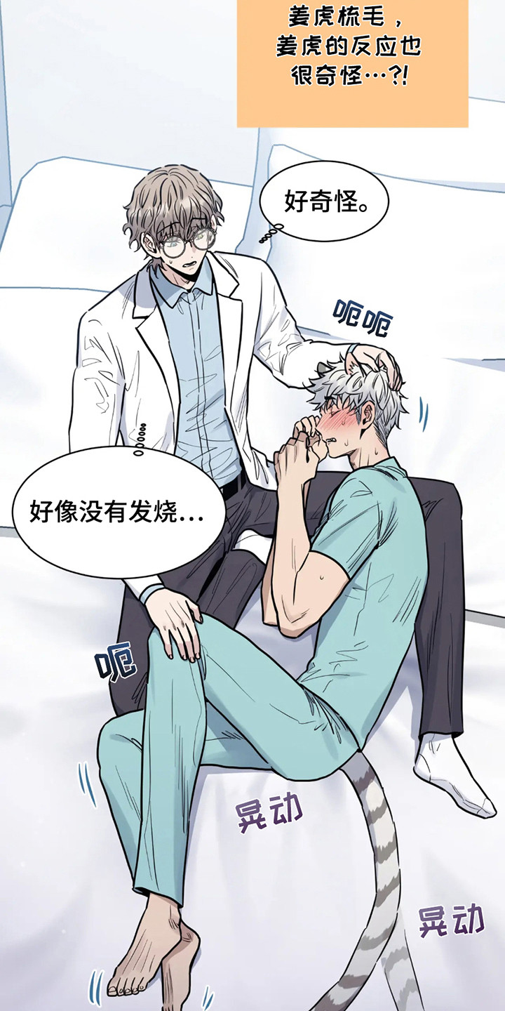 老虎观察日志 - 第2话 - 第19张图