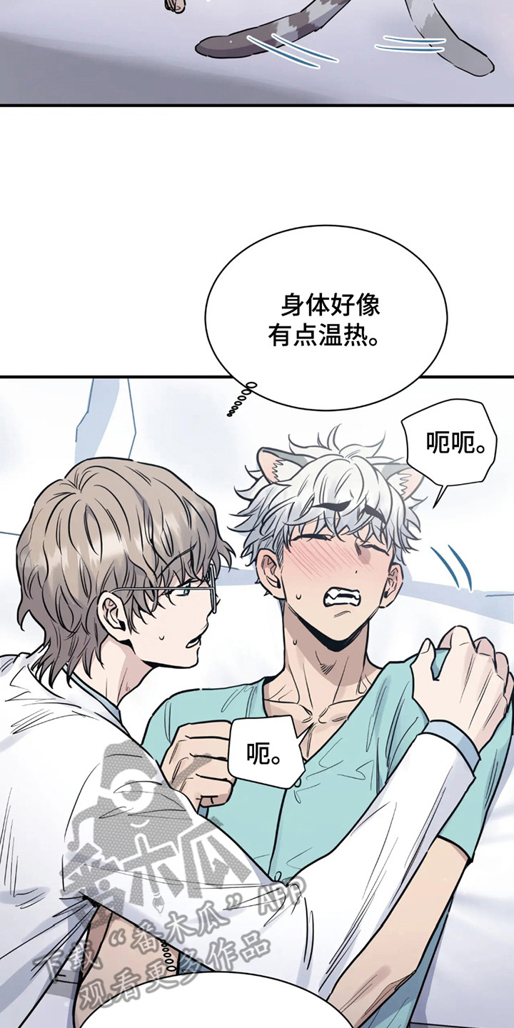 老虎观察日志 - 第2话 - 第20张图