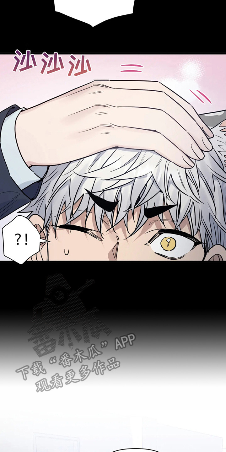 老虎观察日志 - 第2话 - 第2张图