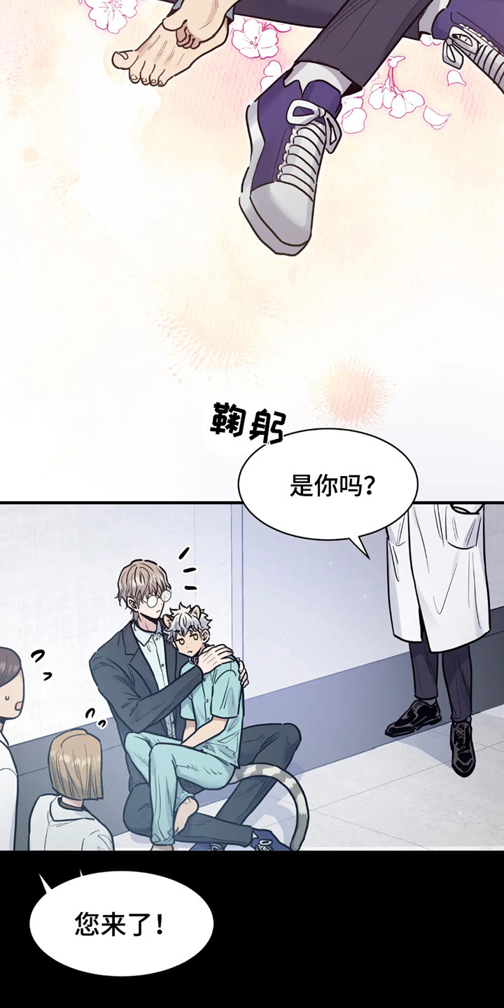 老虎观察日志 - 第2话 - 第7张图