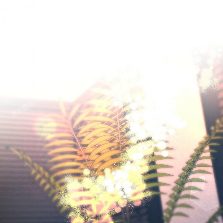 独宠 - 第92话 - 第57张图