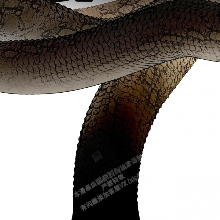 独宠 - 第115话 - 第49张图