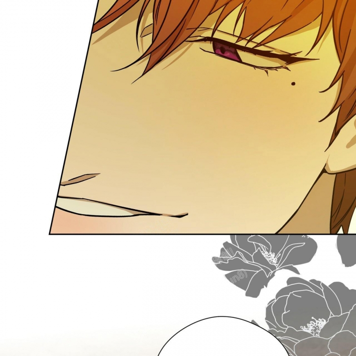 独宠 - 第123话 - 第32张图