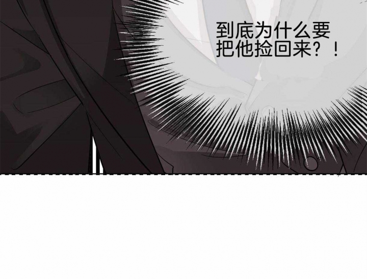 冷血动物(I II季) - 第2话 - 第17张图