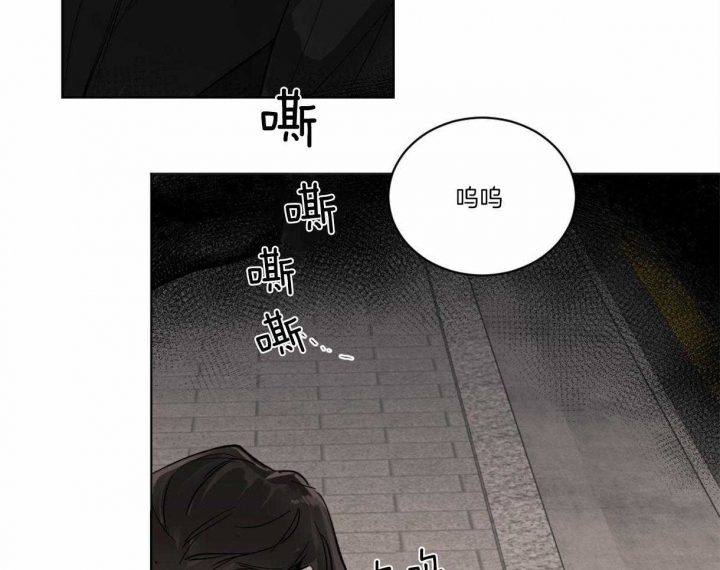 冷血动物(I II季) - 第1话 - 第49张图