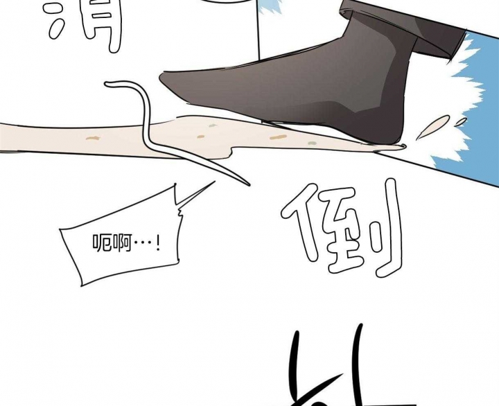 冷血动物(I II季) - 第10话 - 第11张图