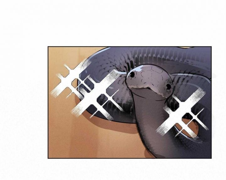 冷血动物(I II季) - 第8话 - 第36张图