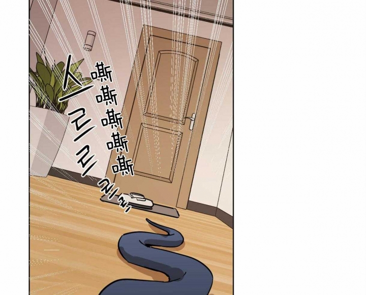 冷血动物(I II季) - 第12话 - 第29张图