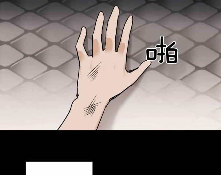 冷血动物(I II季) - 第39话 - 第18张图