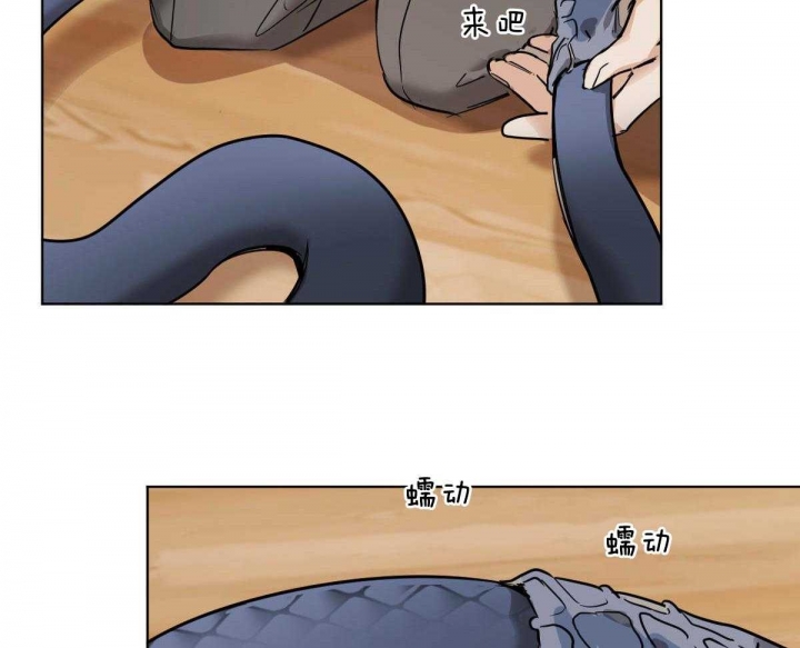 冷血动物(I II季) - 第36话 - 第19张图