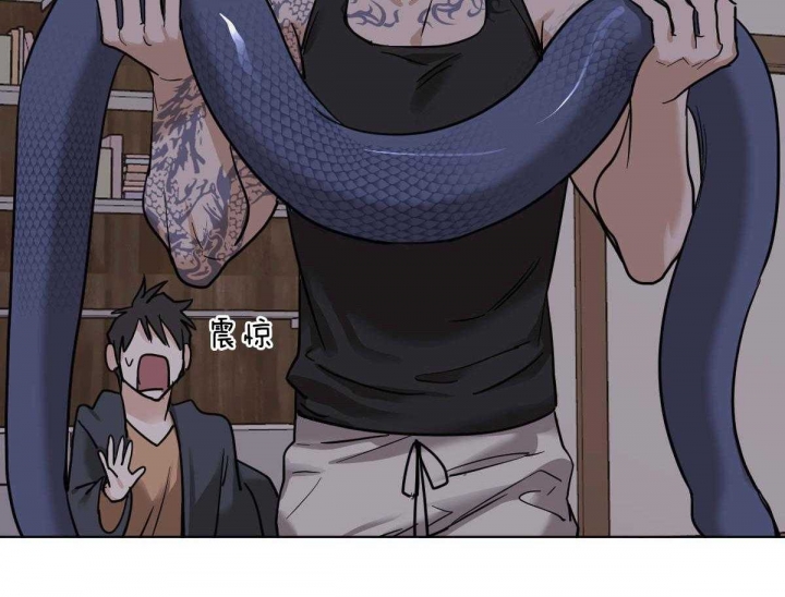 冷血动物(I II季) - 第50话 - 第4张图