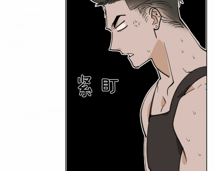 冷血动物(I II季) - 第58话 - 第12张图