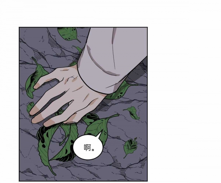 冷血动物(I II季) - 第61话 - 第37张图