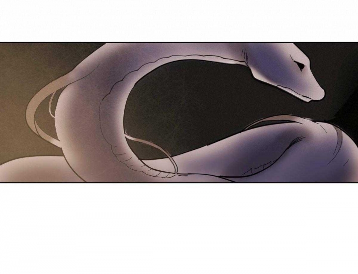 冷血动物(I II季) - 第67话 - 第40张图