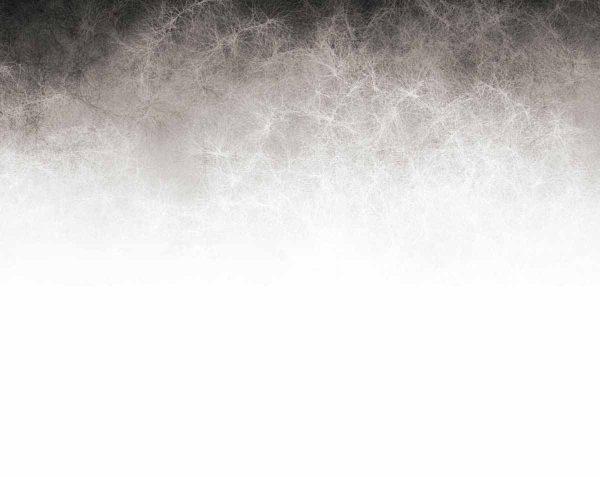 冷血动物(I II季) - 第92话 - 第50张图