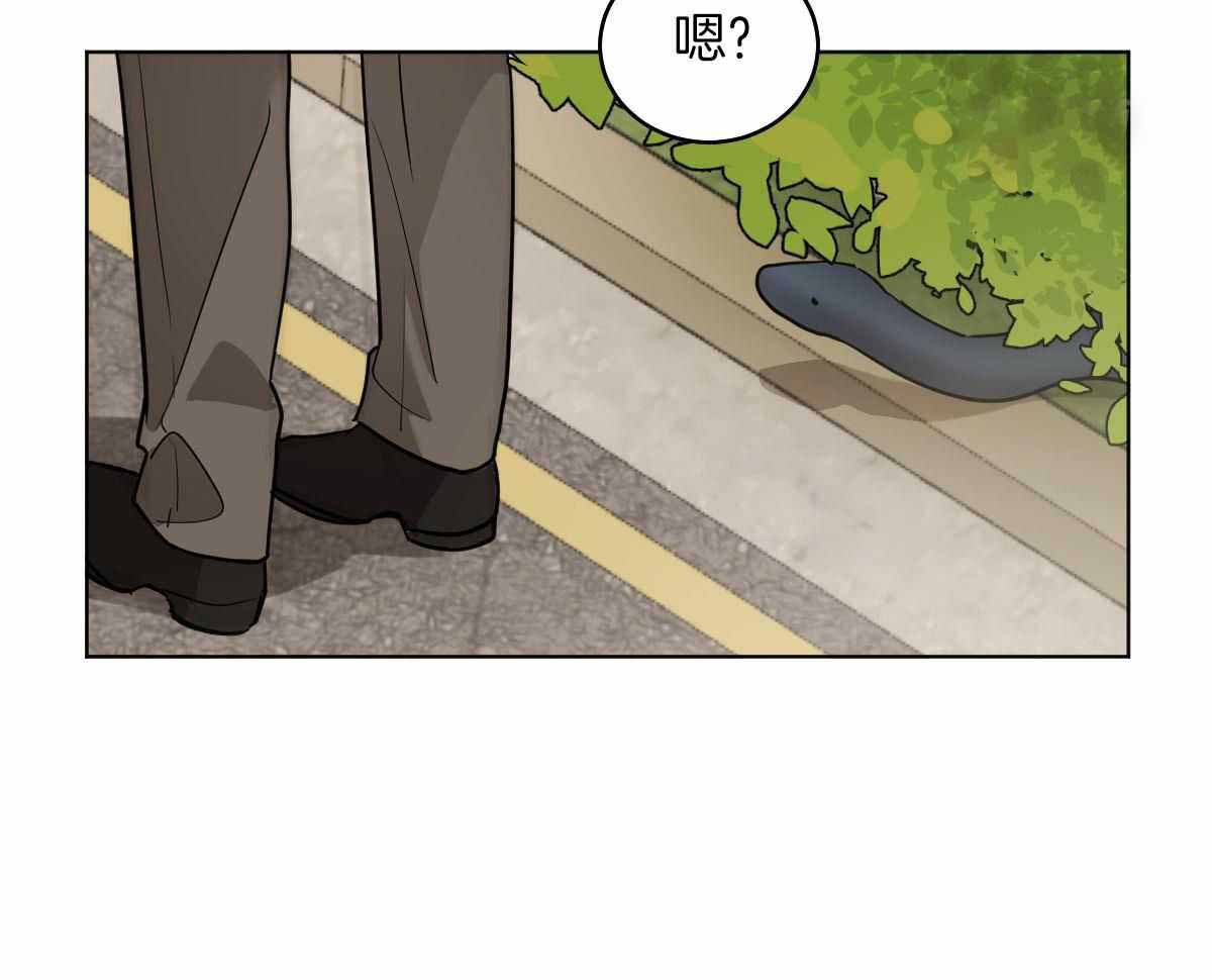 冷血动物(I II季) - 第101话 - 第35张图