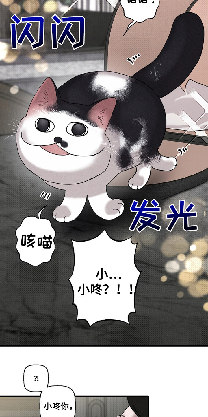 赔偿条约 - 第33话 - 第12张图