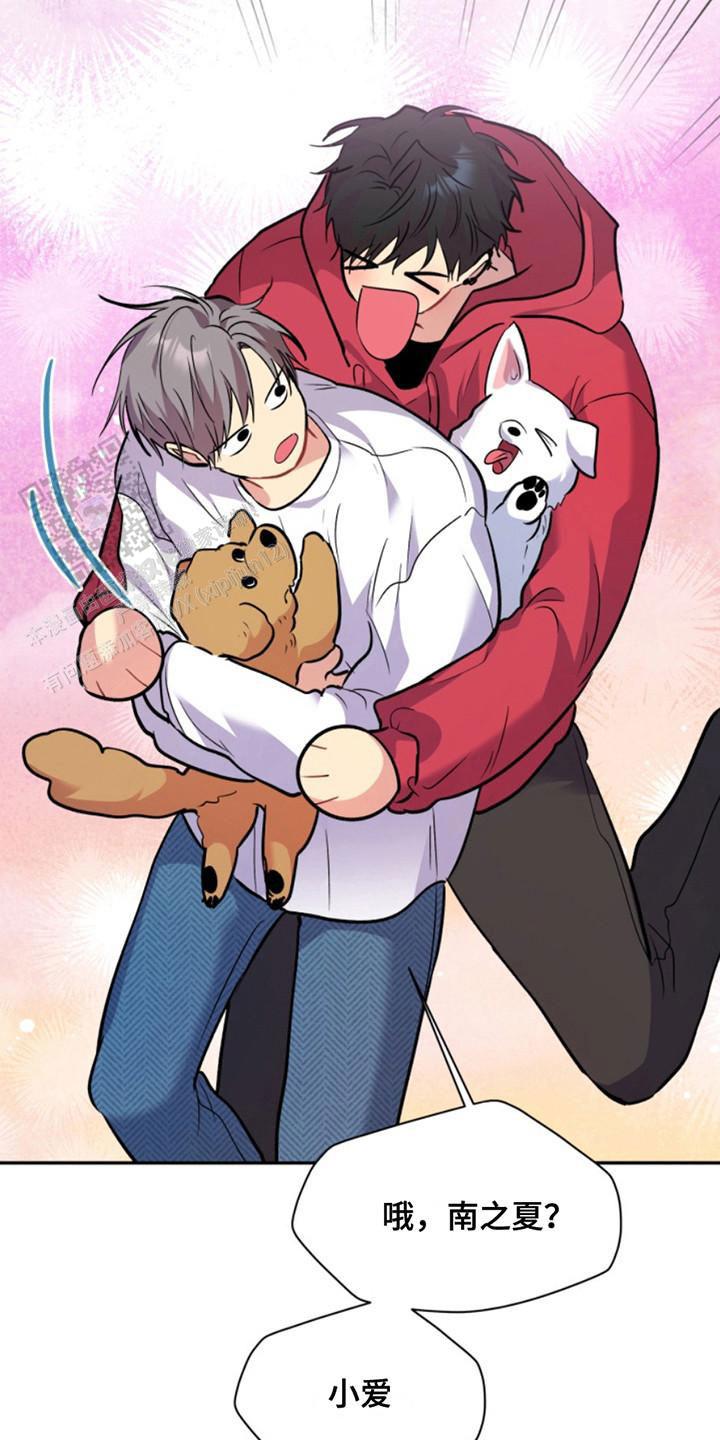 忠犬狂欢 - 第39话 - 第9张图