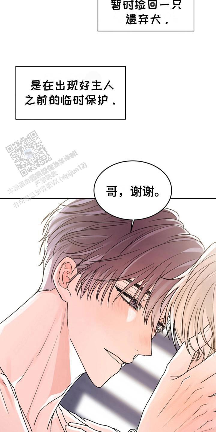 忠犬狂欢 - 第25话 - 第7张图